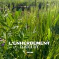 l'enherbement en viticulture